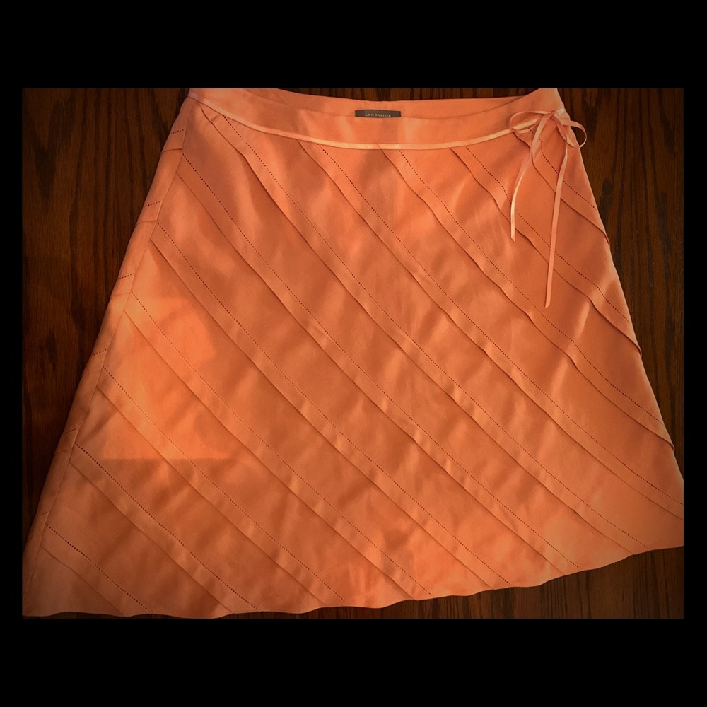 Ann Taylor Skirt